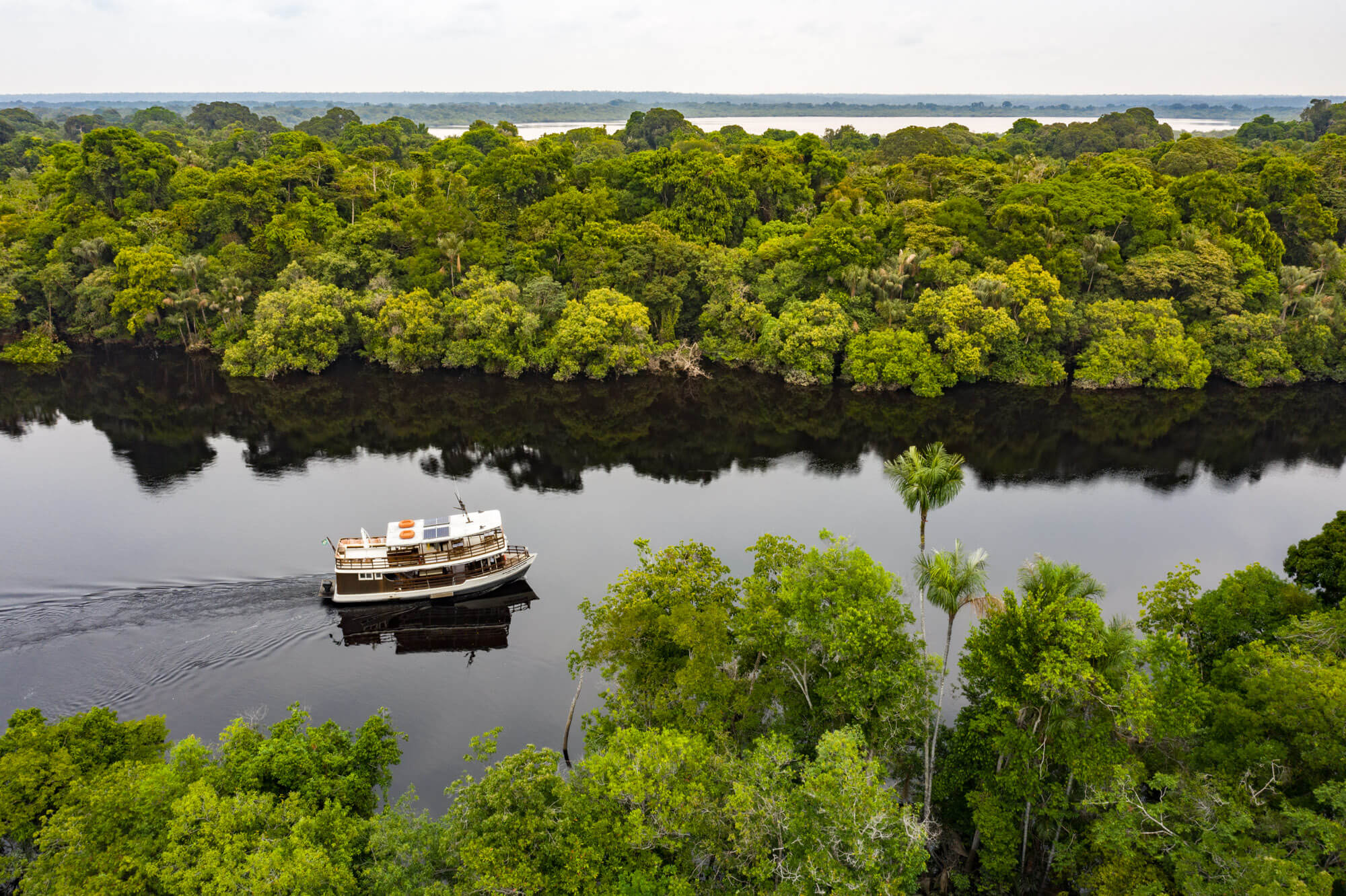 Services & Activités