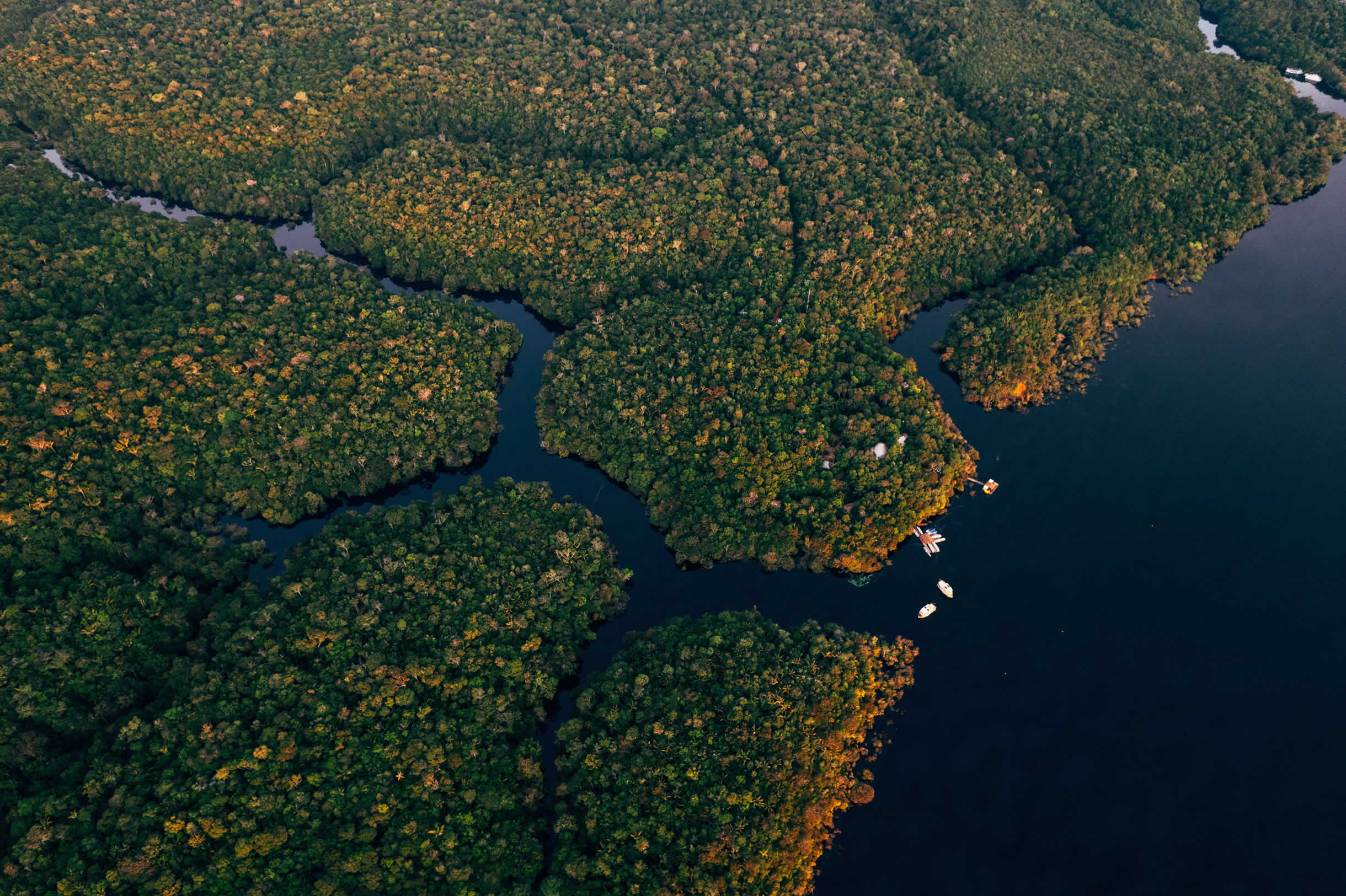 Anavilhanas Jungle Lodge