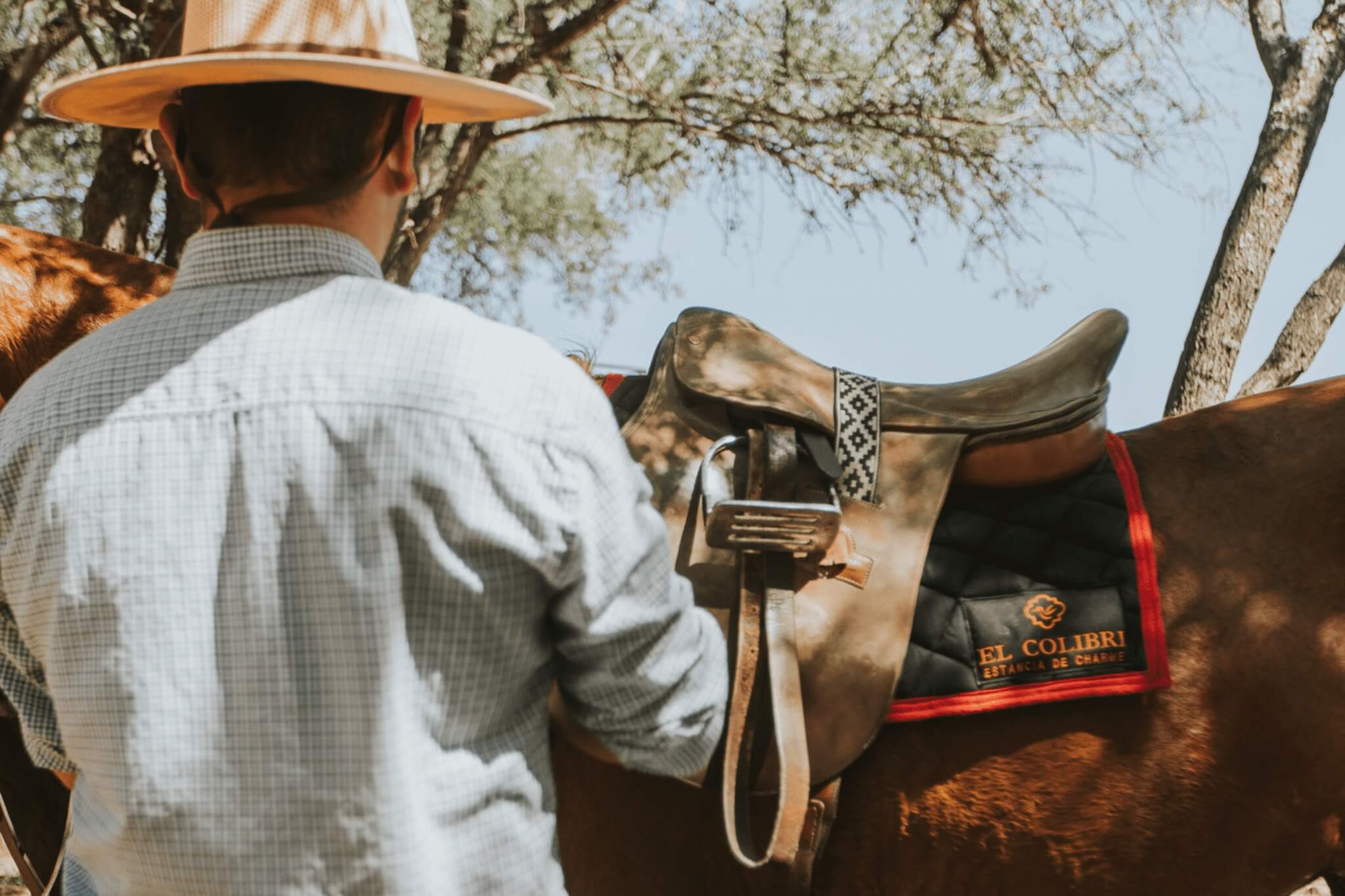 Services & Activités