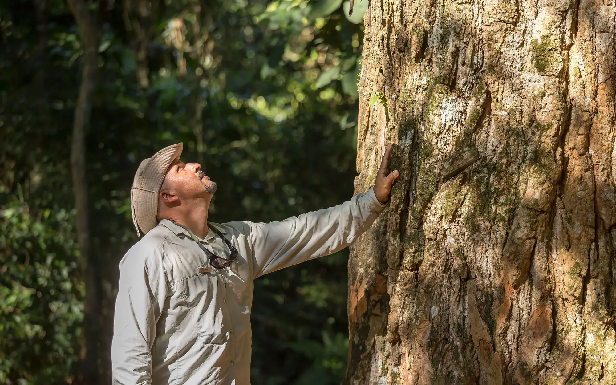 Services & Activités