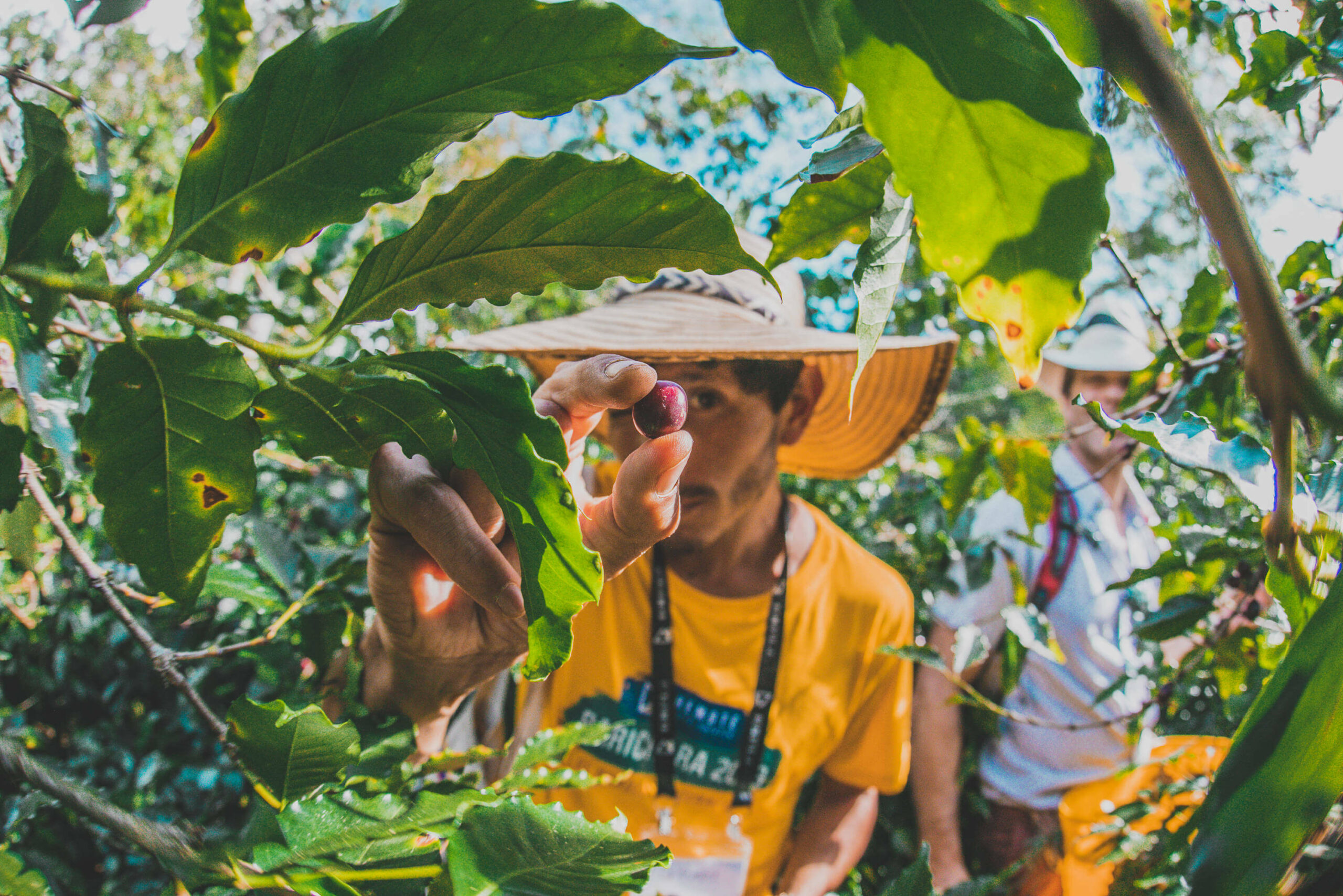 Services & Activités