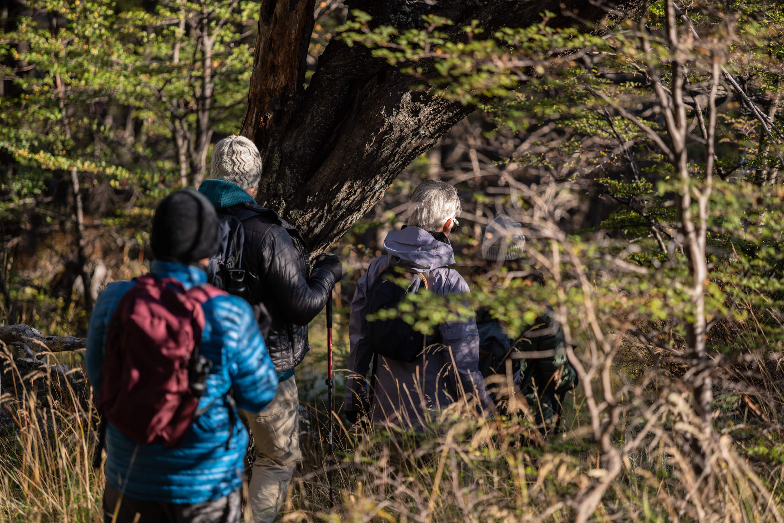 Service & Activités