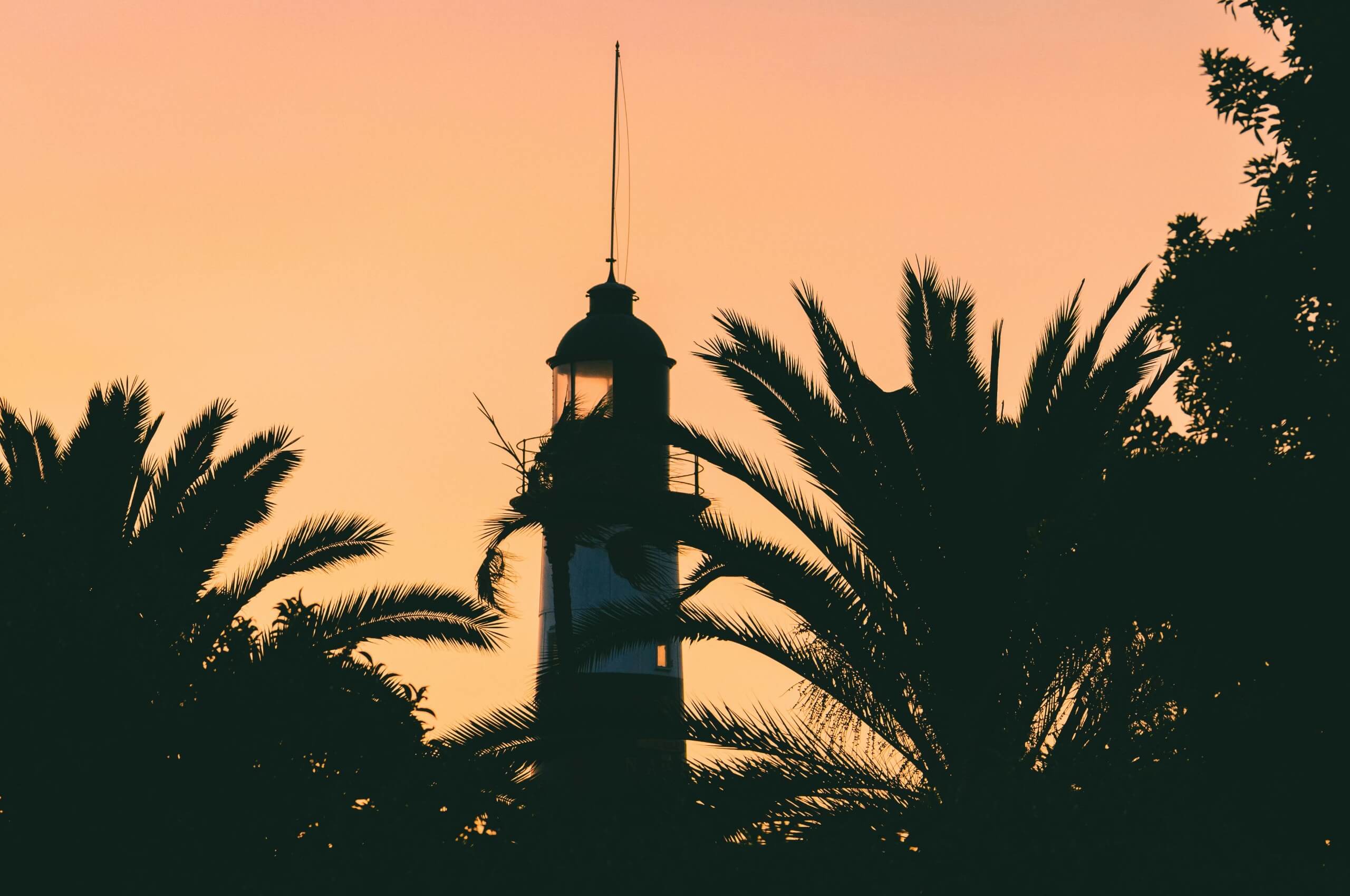 Services & Activités