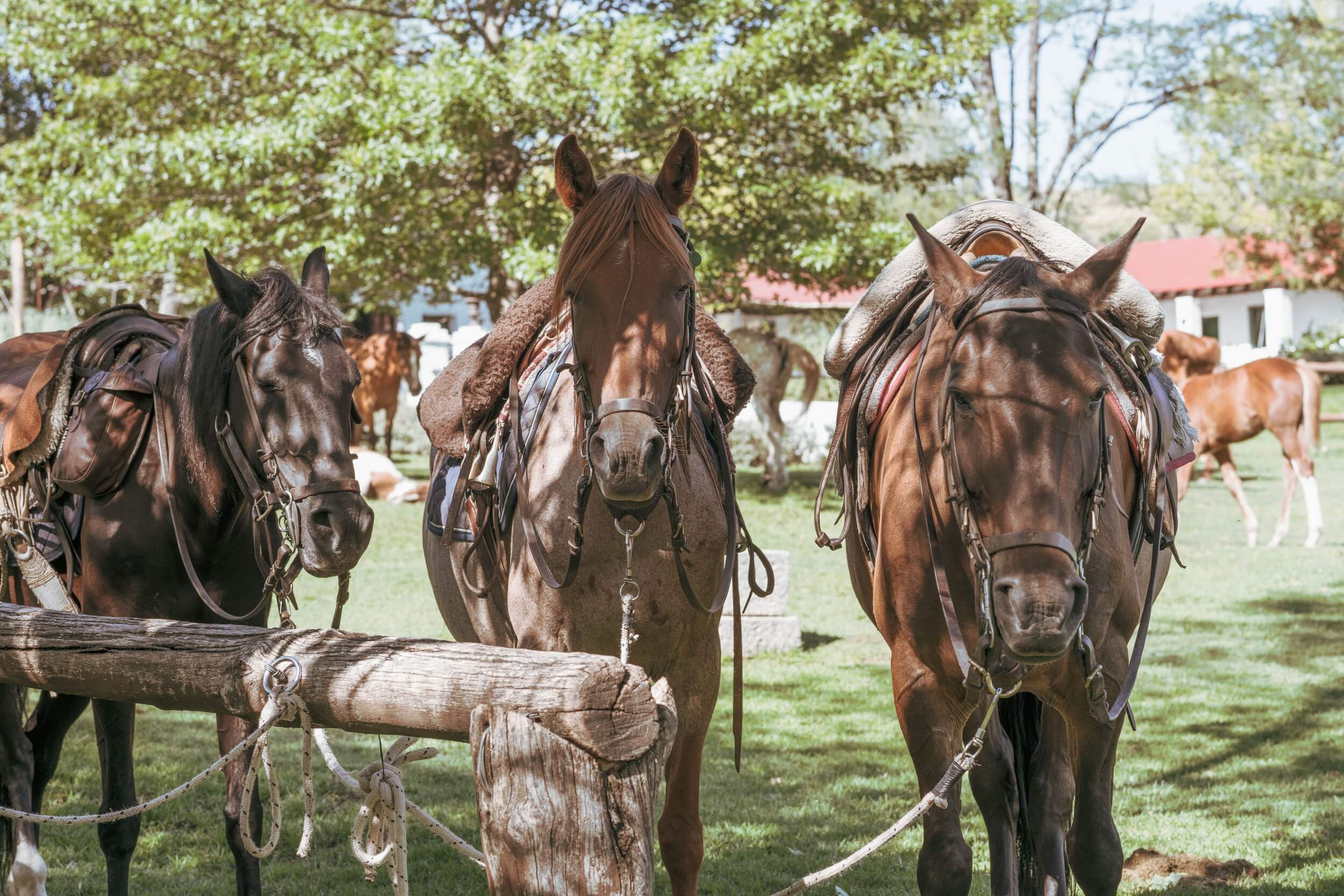 Services & activités