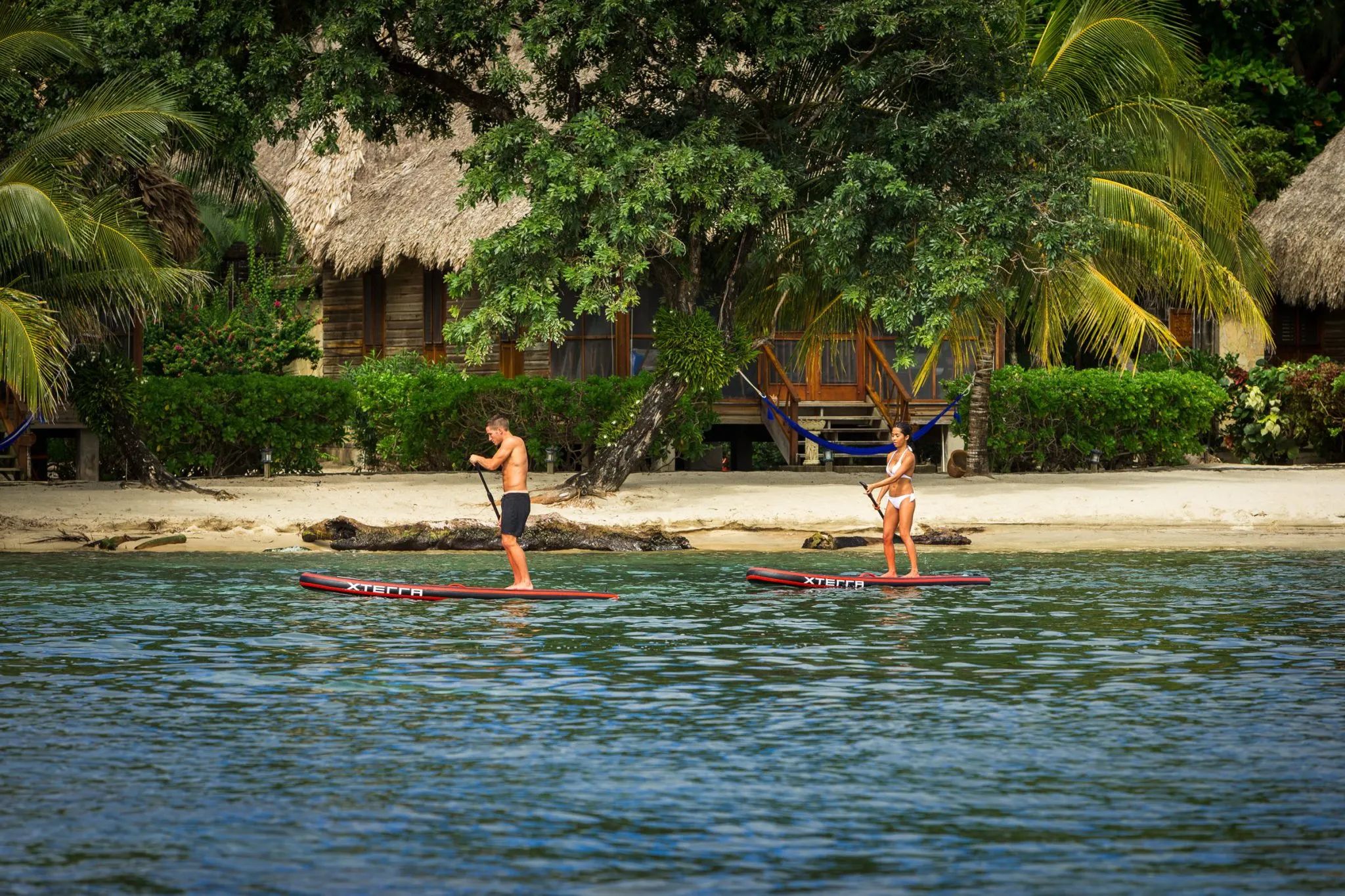 Services & Activtés