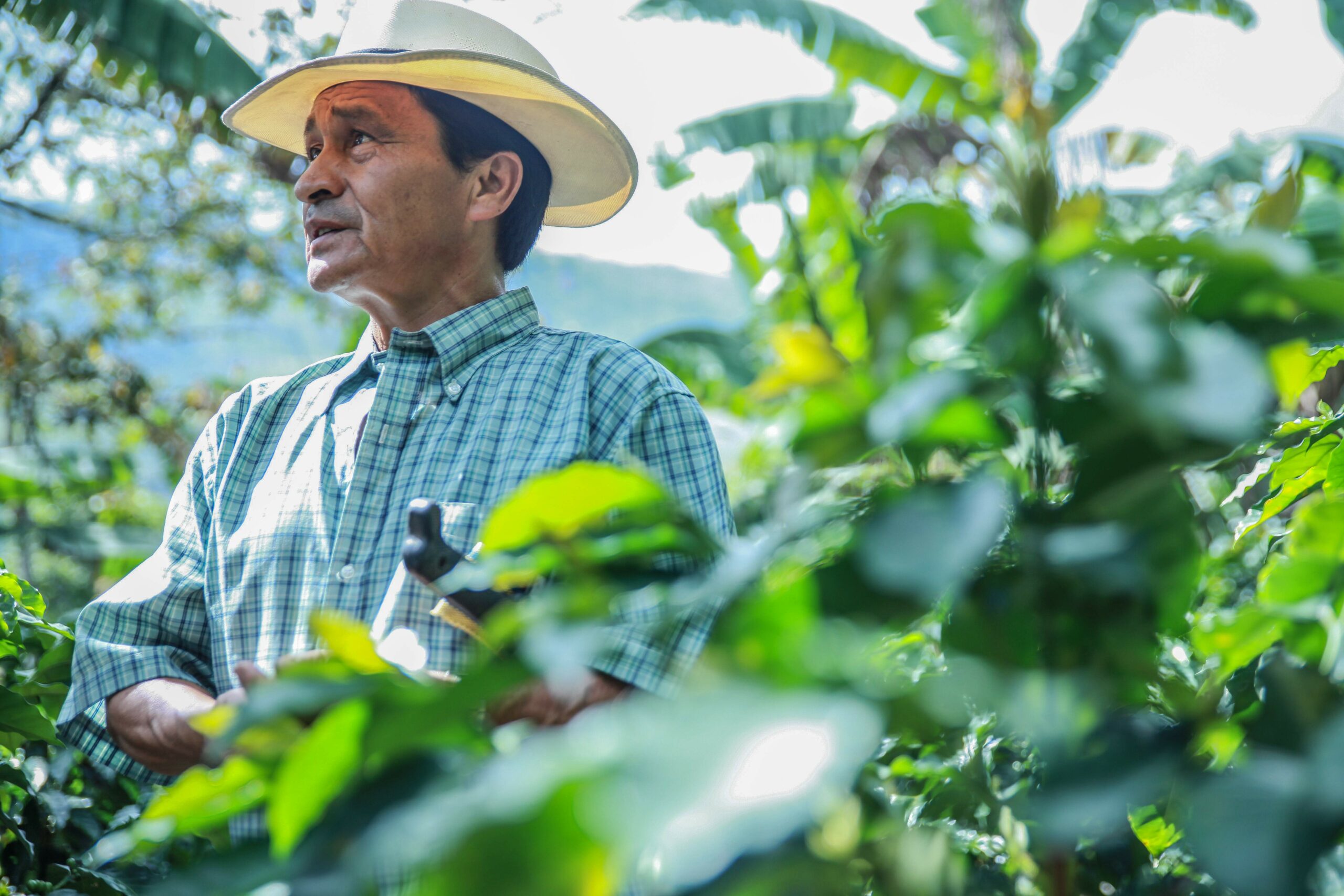 Services & Activités