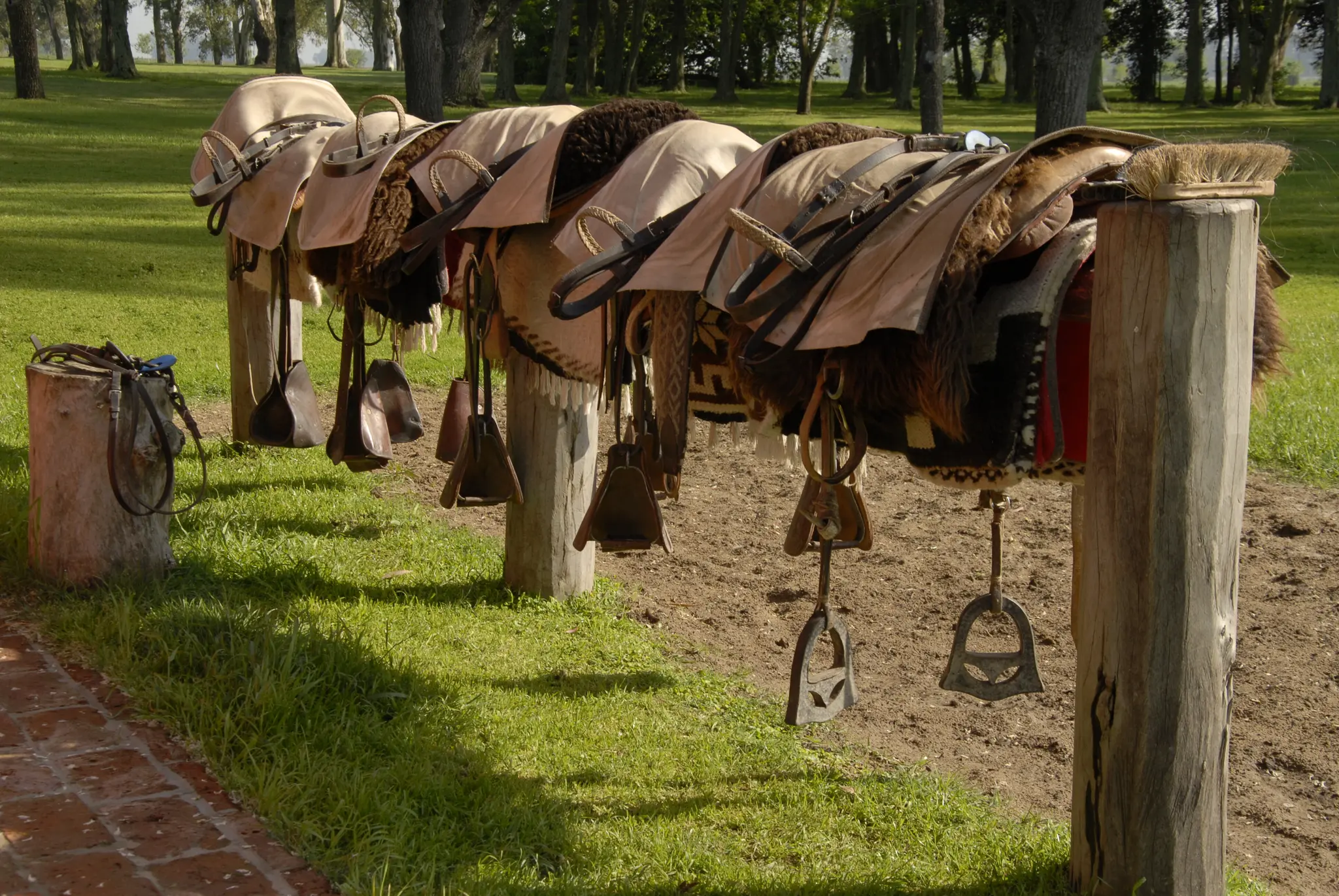 Services & activités