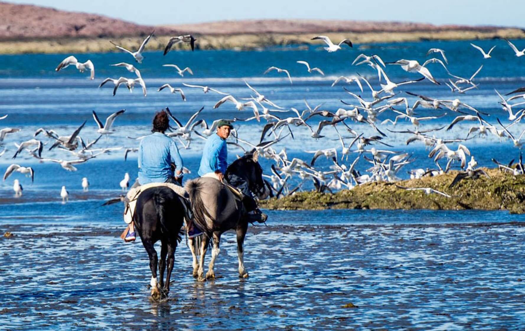 Services & Activités