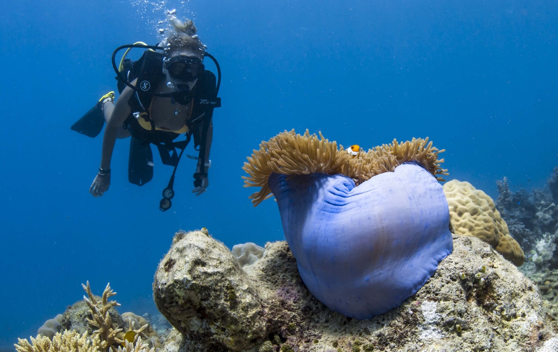 Services & Activités