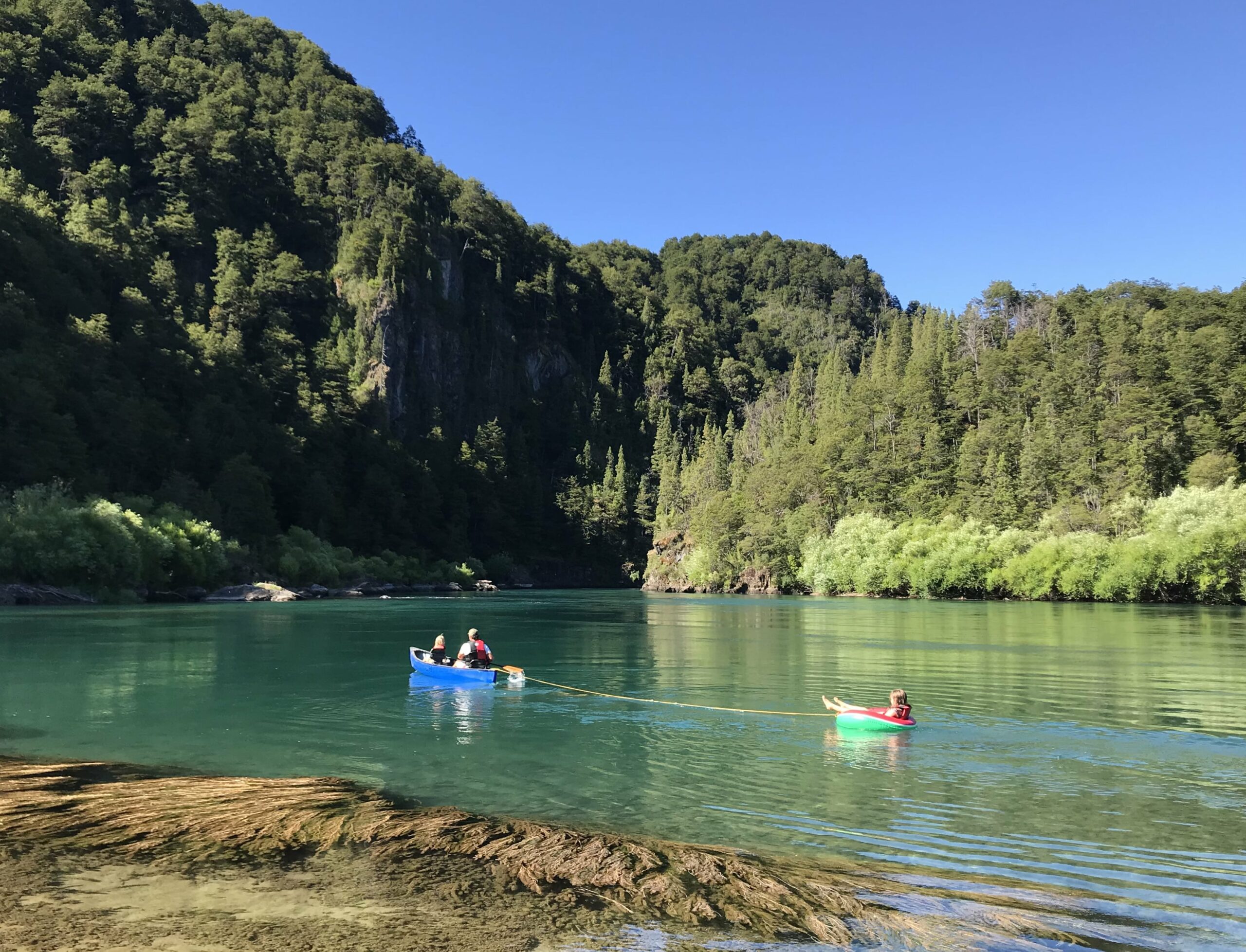 Services & activités