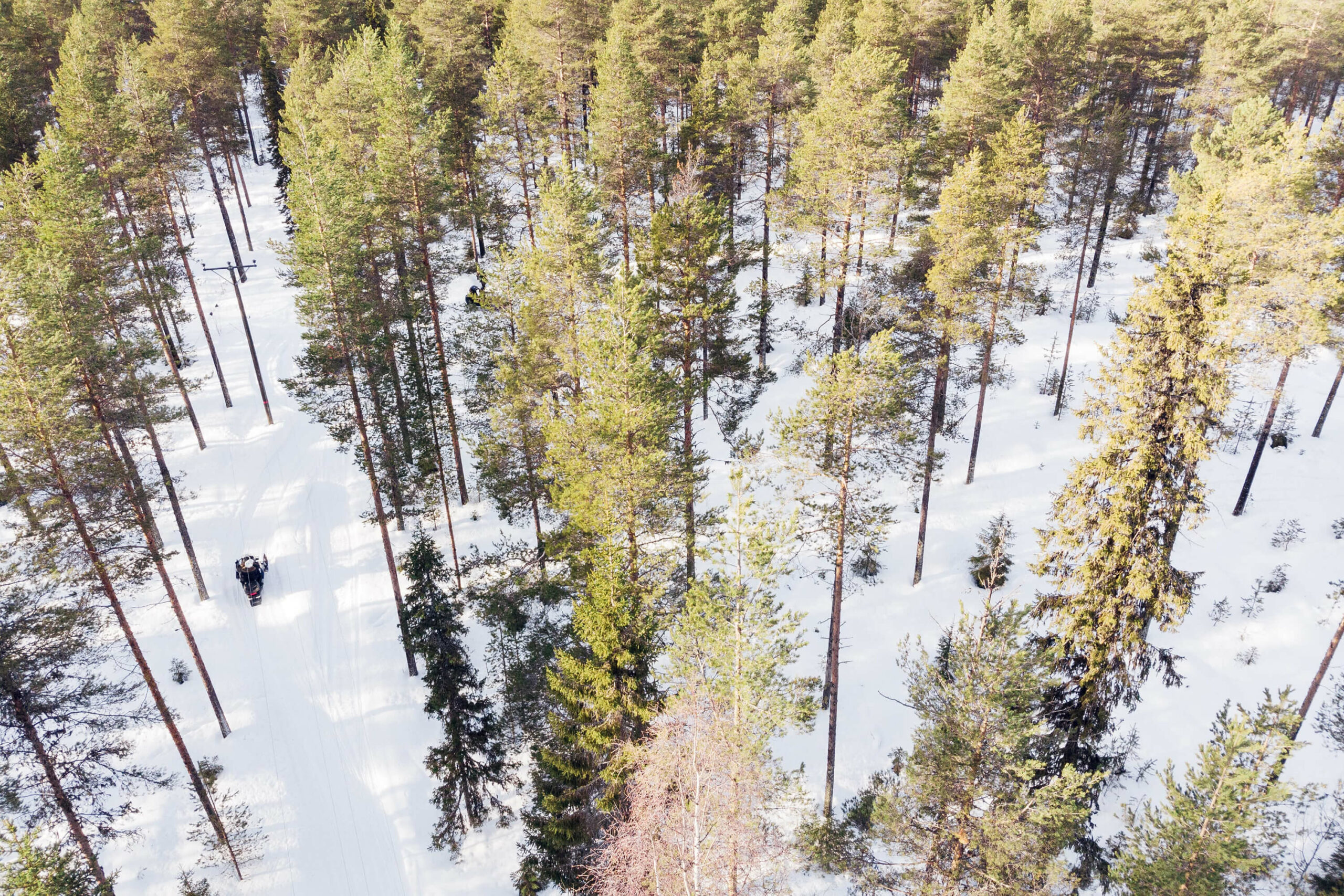 Services & activités