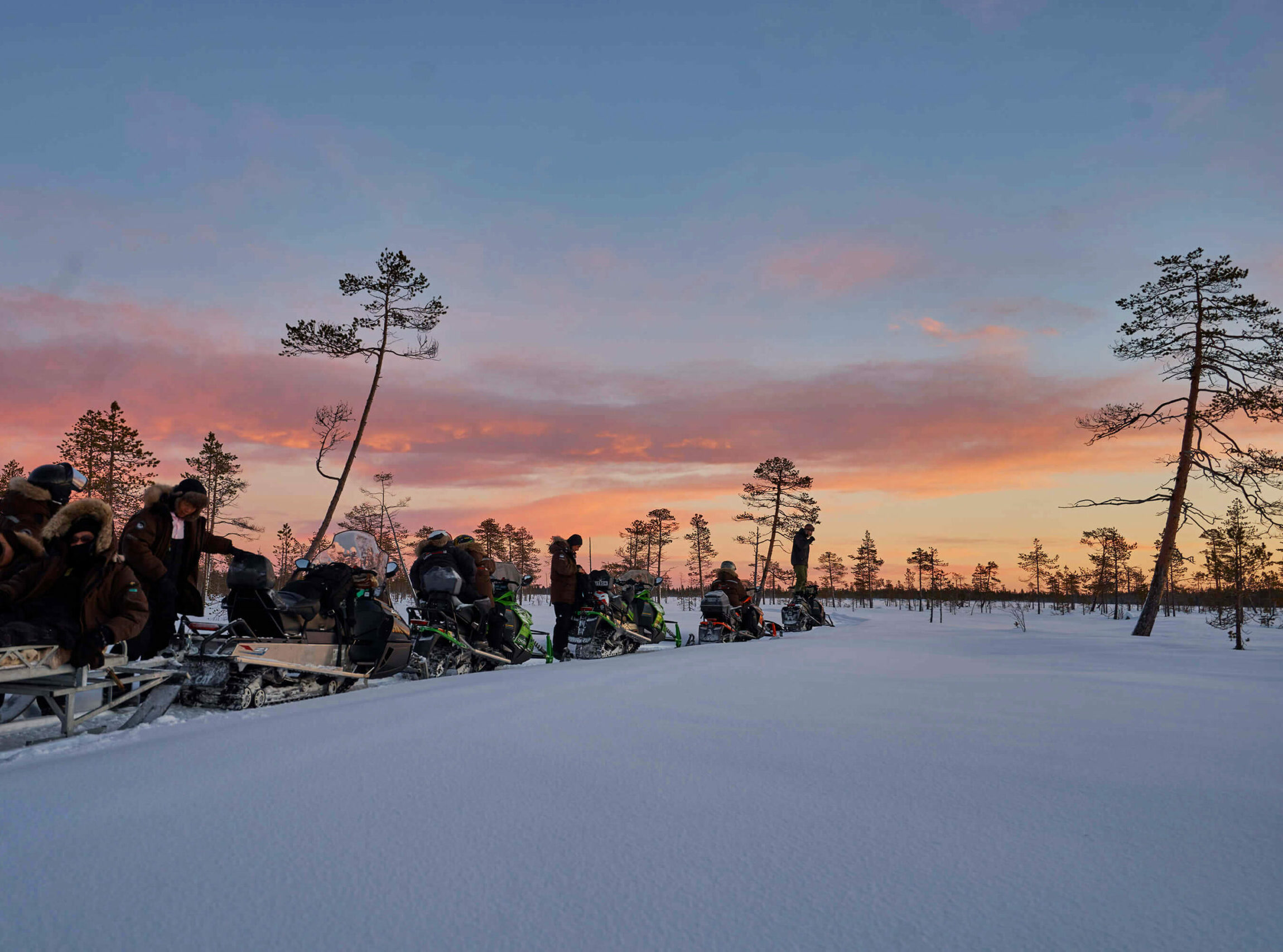 Services & activités