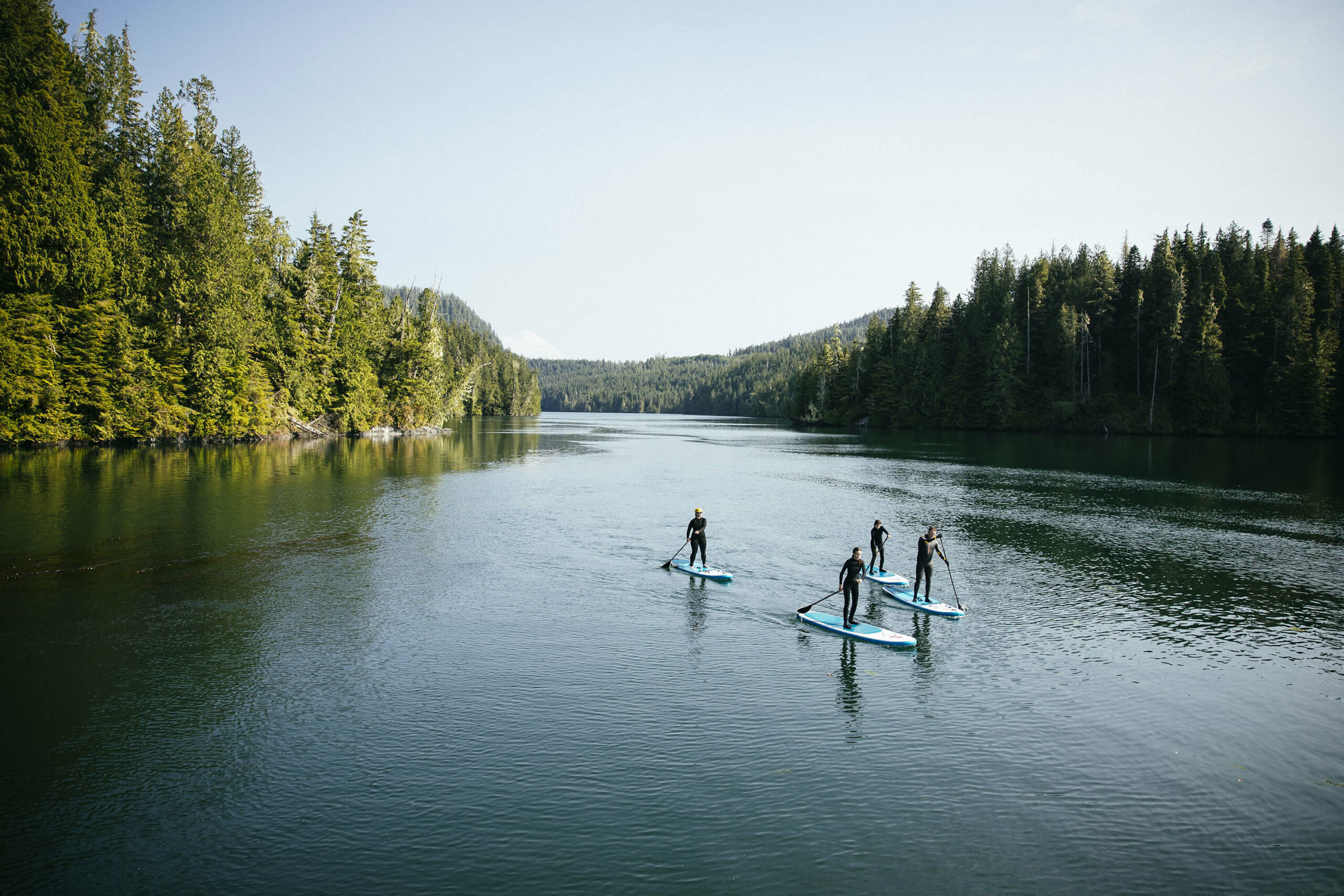 Services & activités