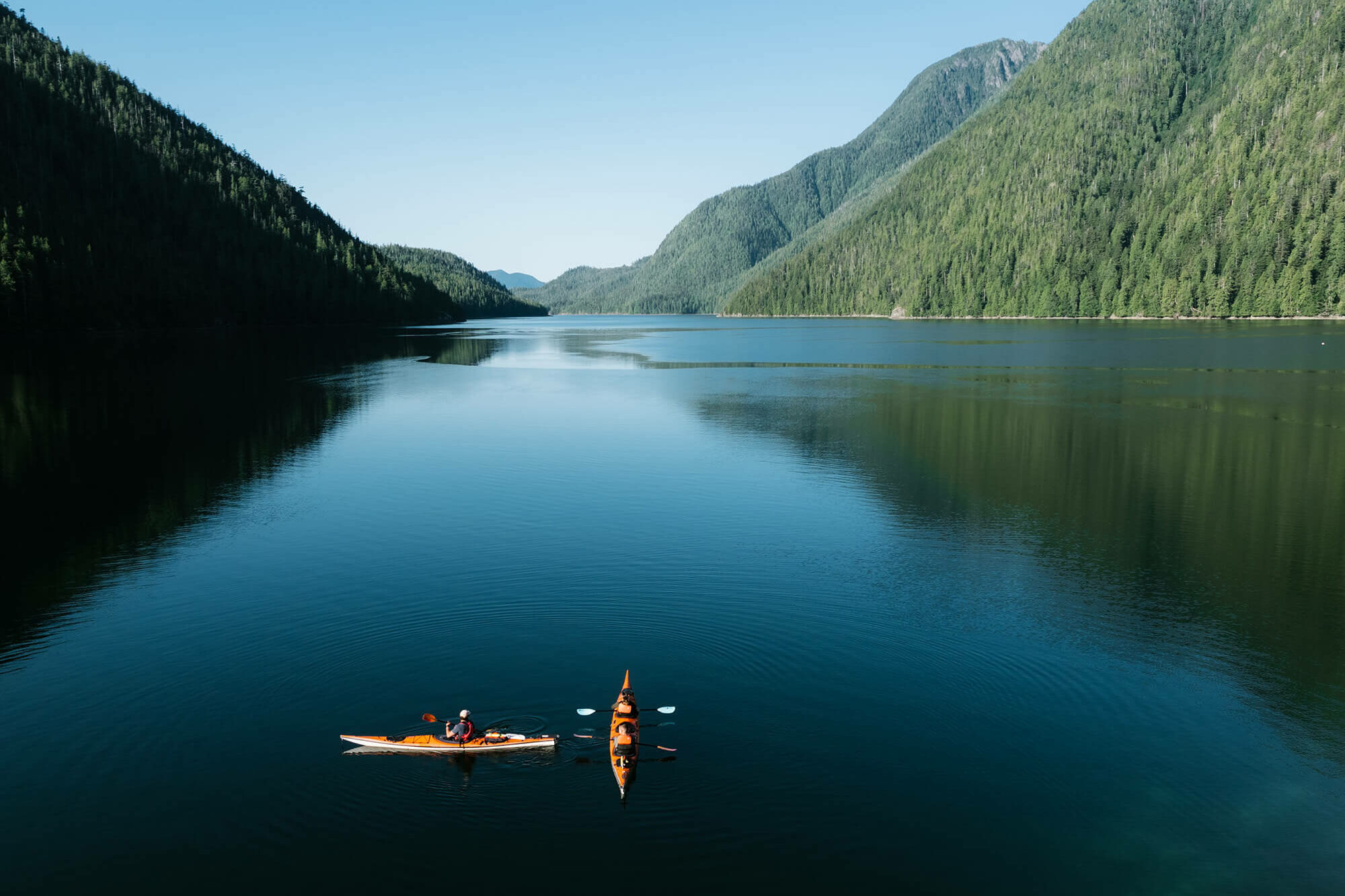 Services & Activités