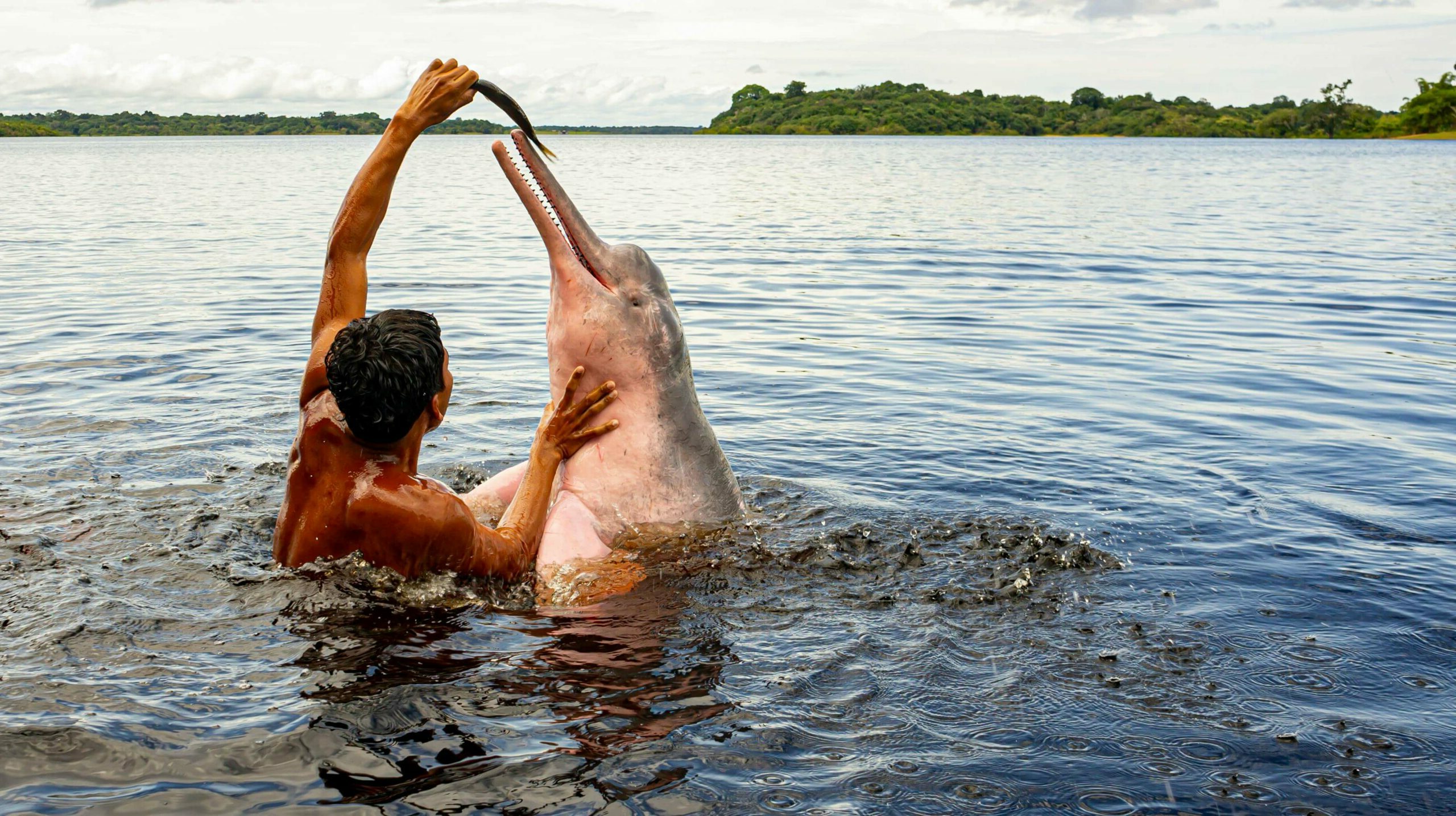 Services & activités