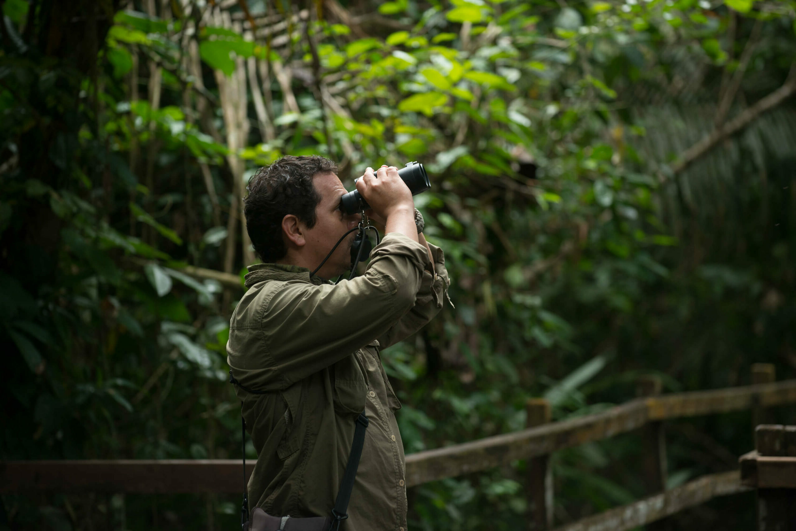 Services & activités