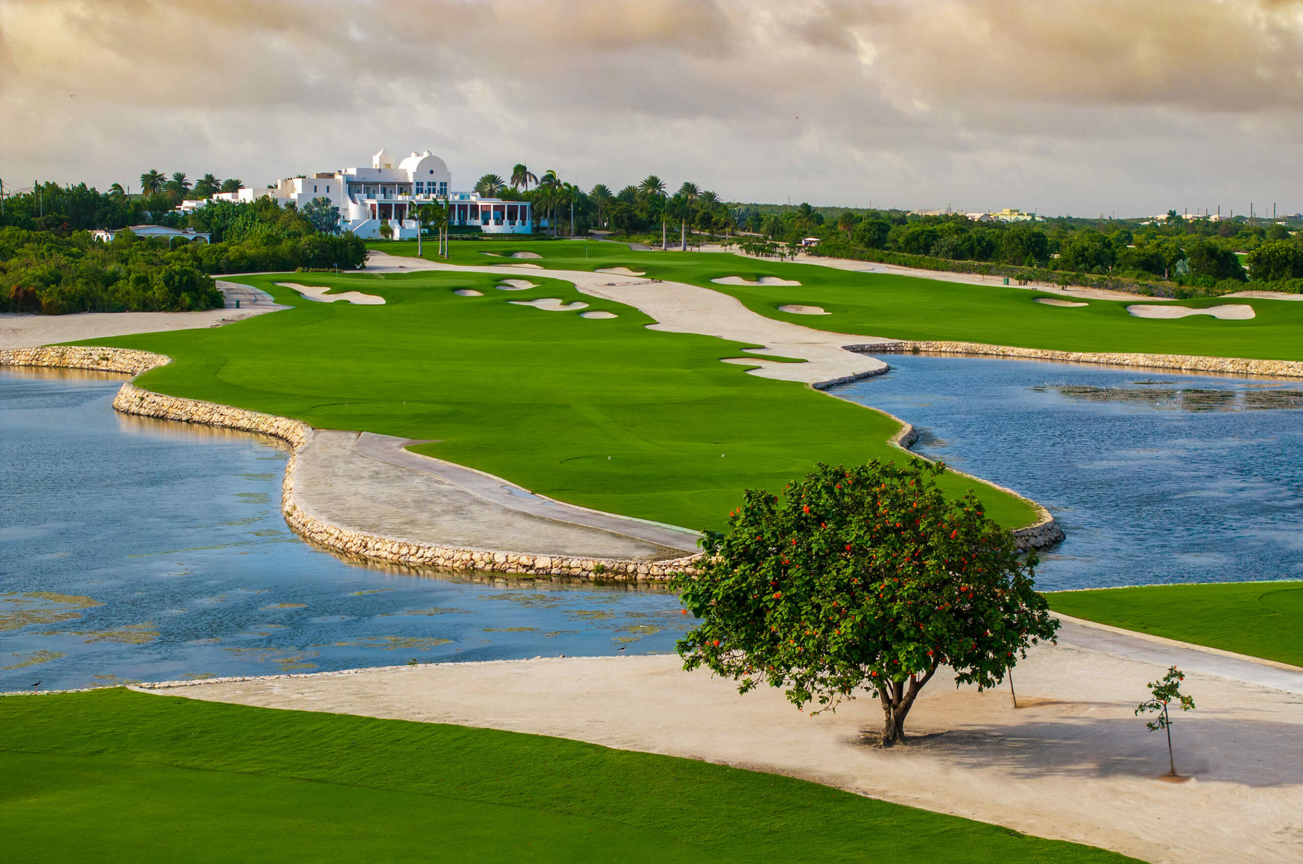 Services & activités