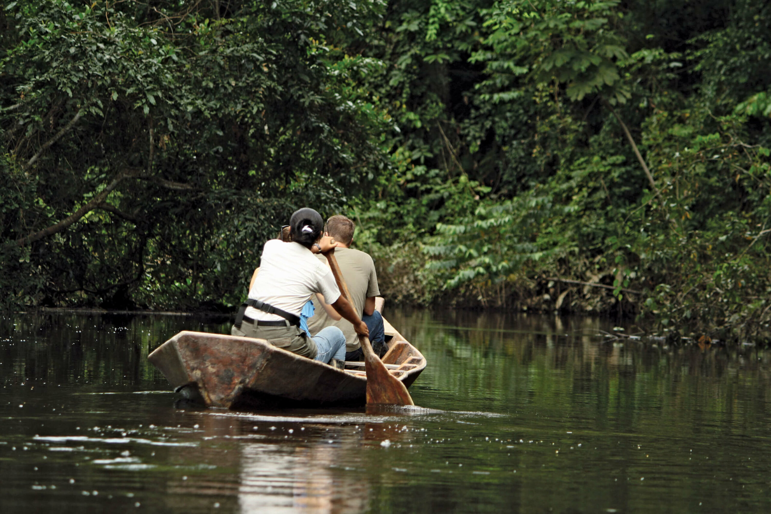 Services & activités