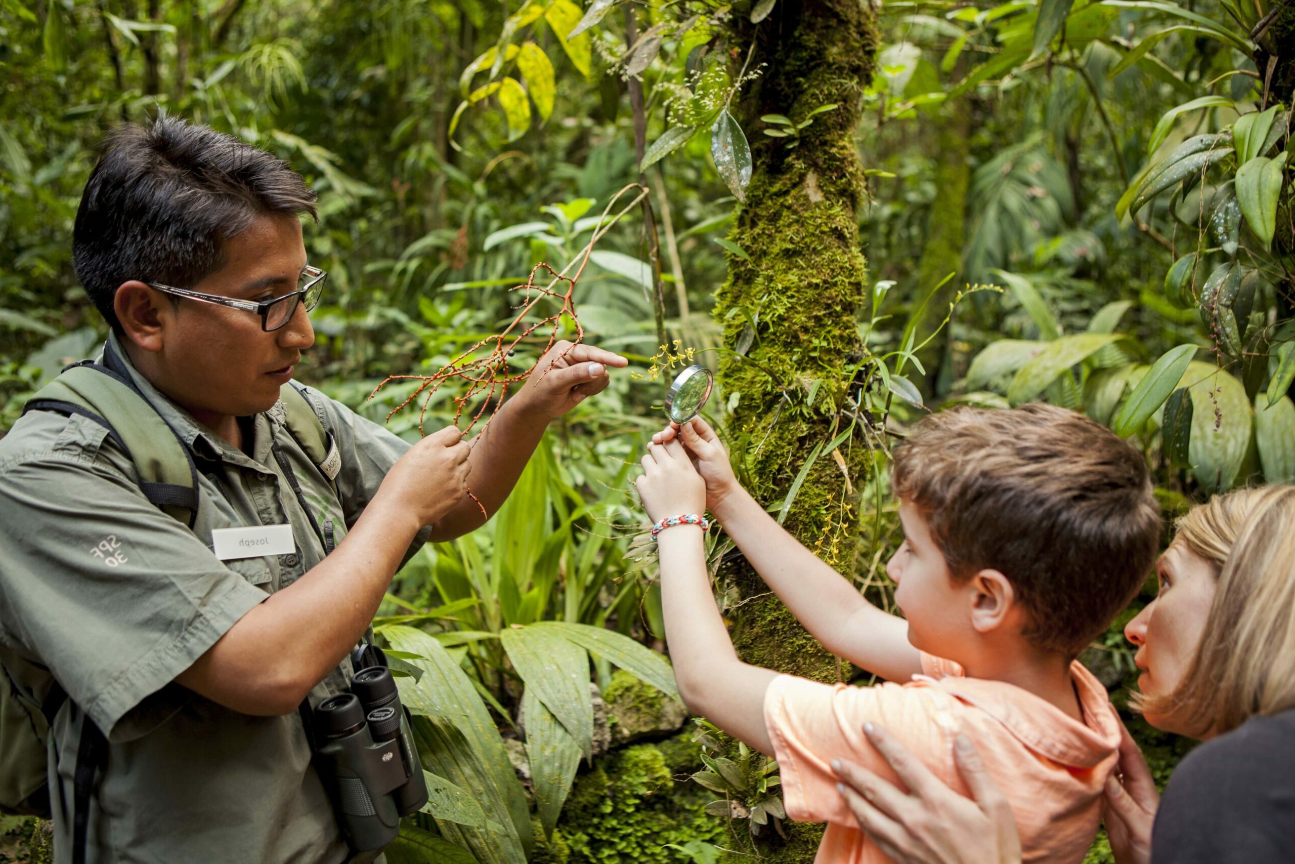 Services & activités