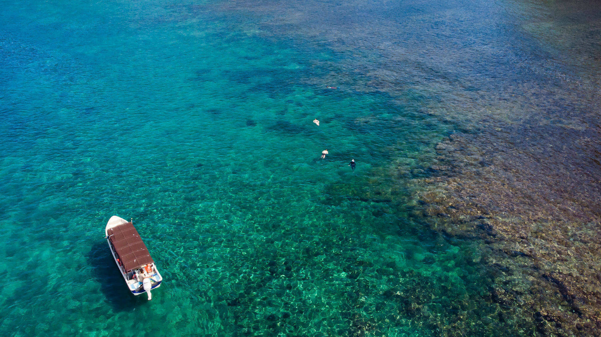 Services et activités