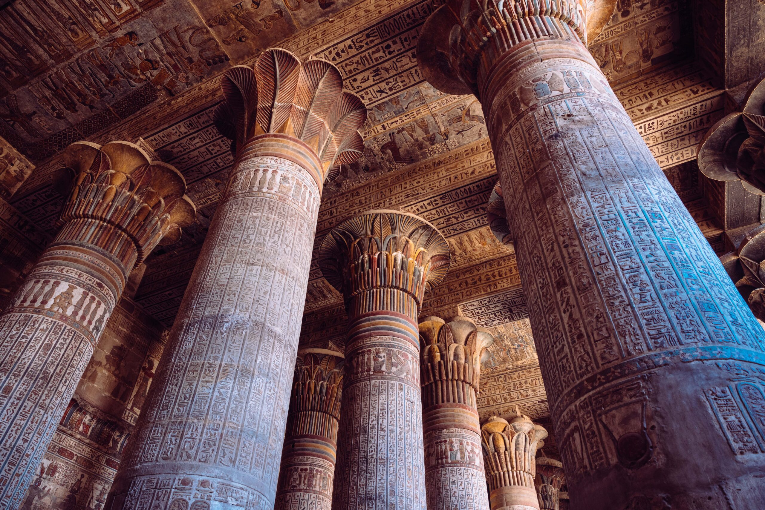 Services & activités