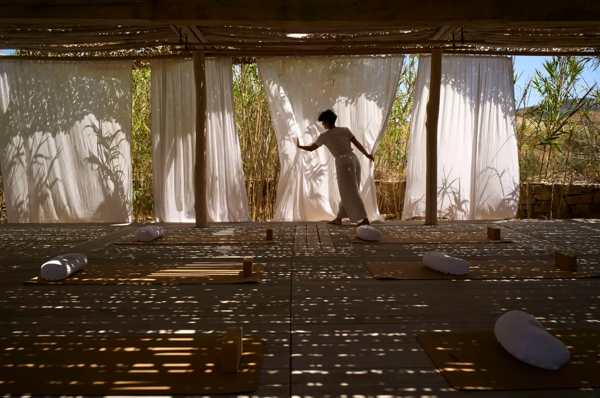 Services & activités