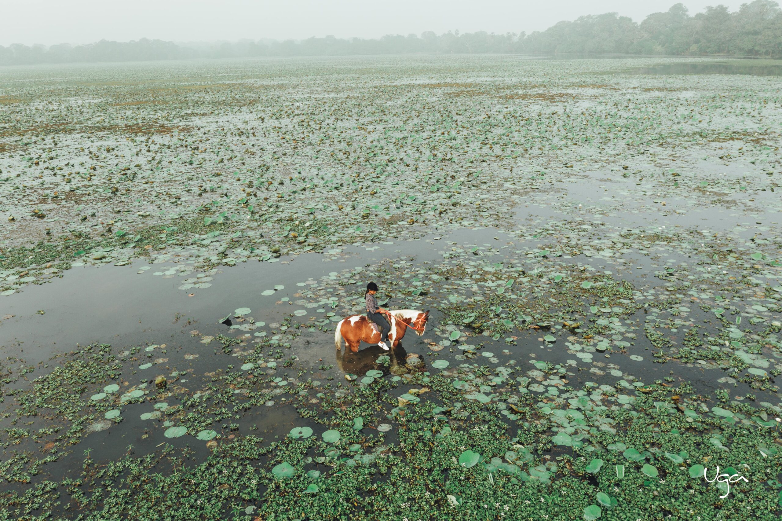 Services & activités