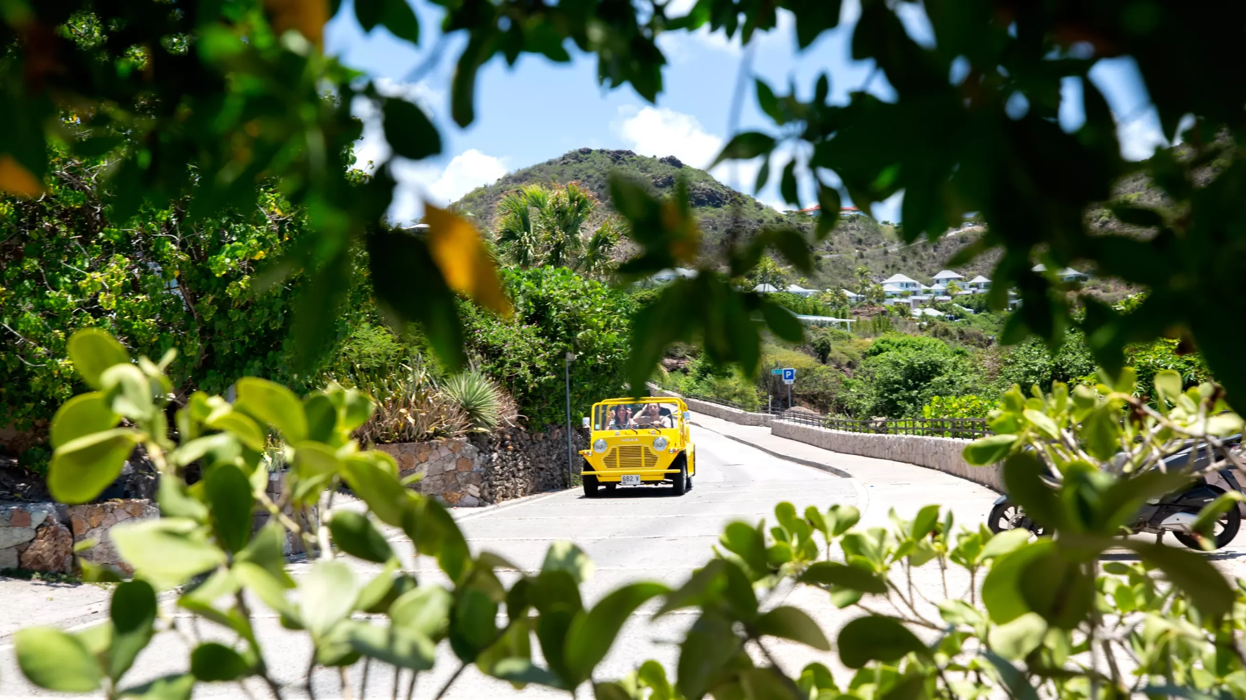 Service & activités