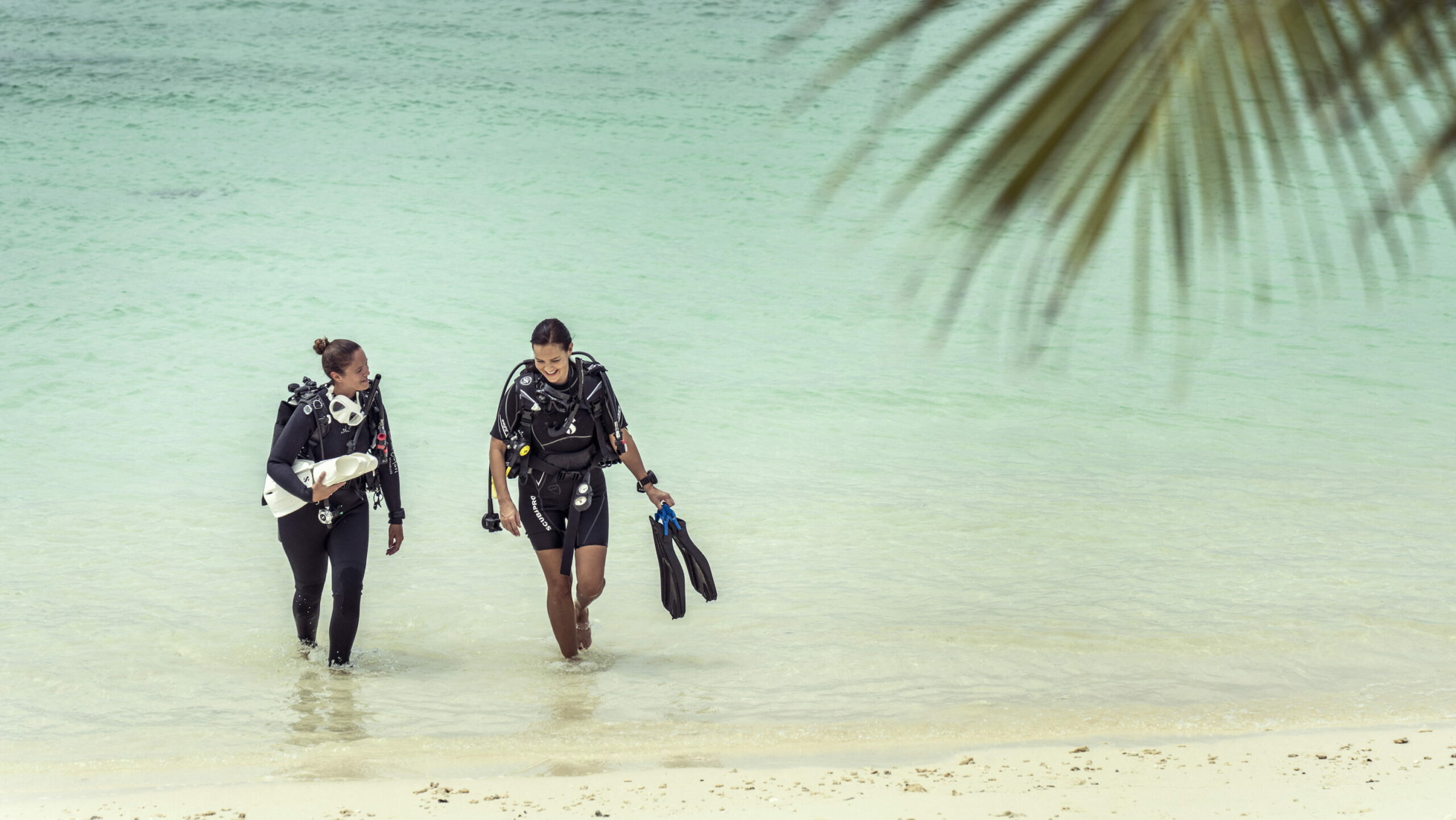 Services & activités