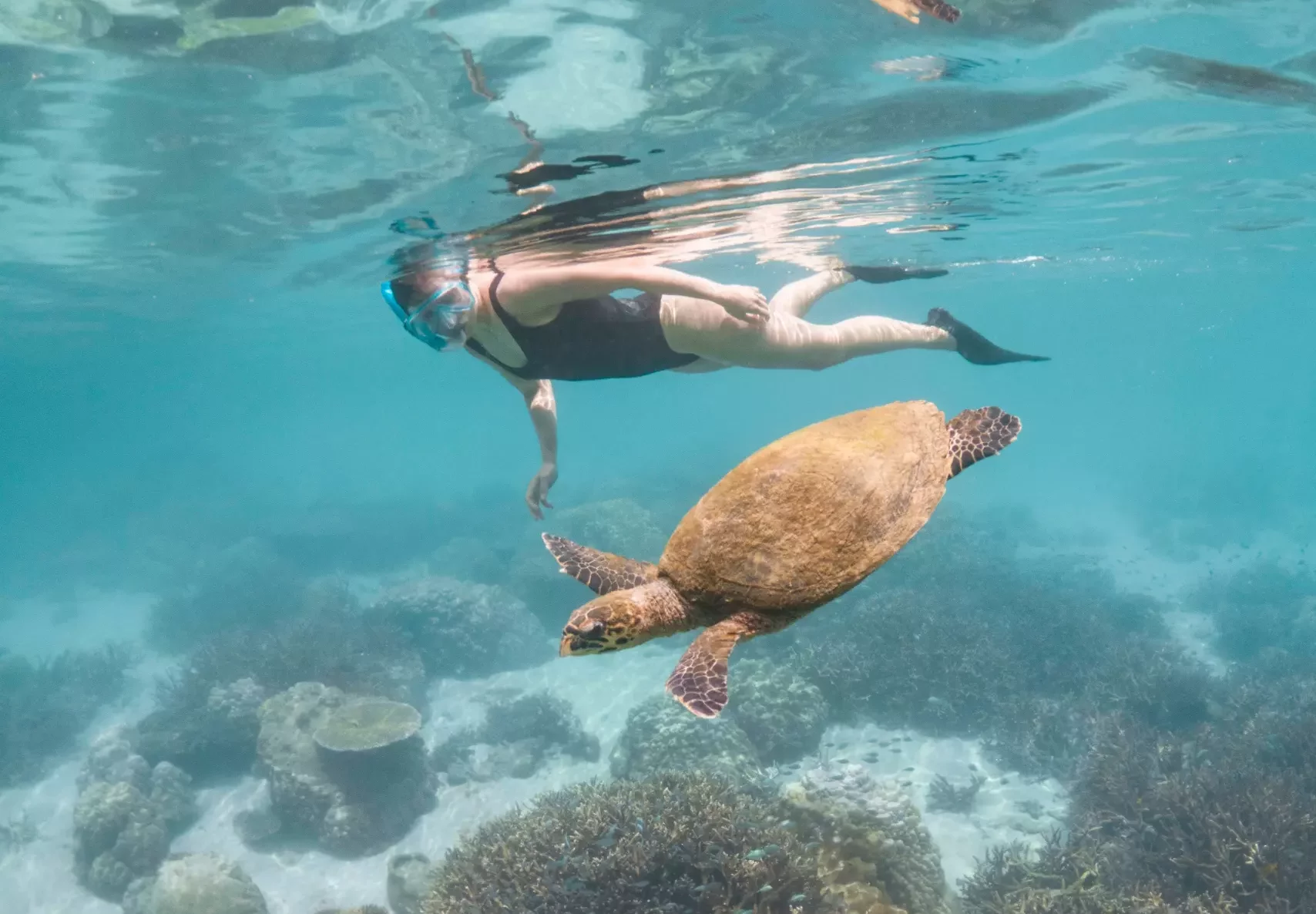 Services et activités