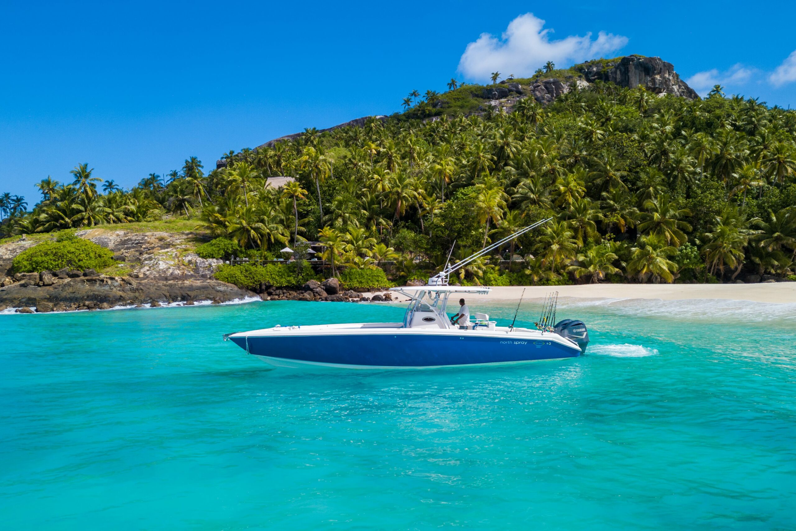 Services & activités