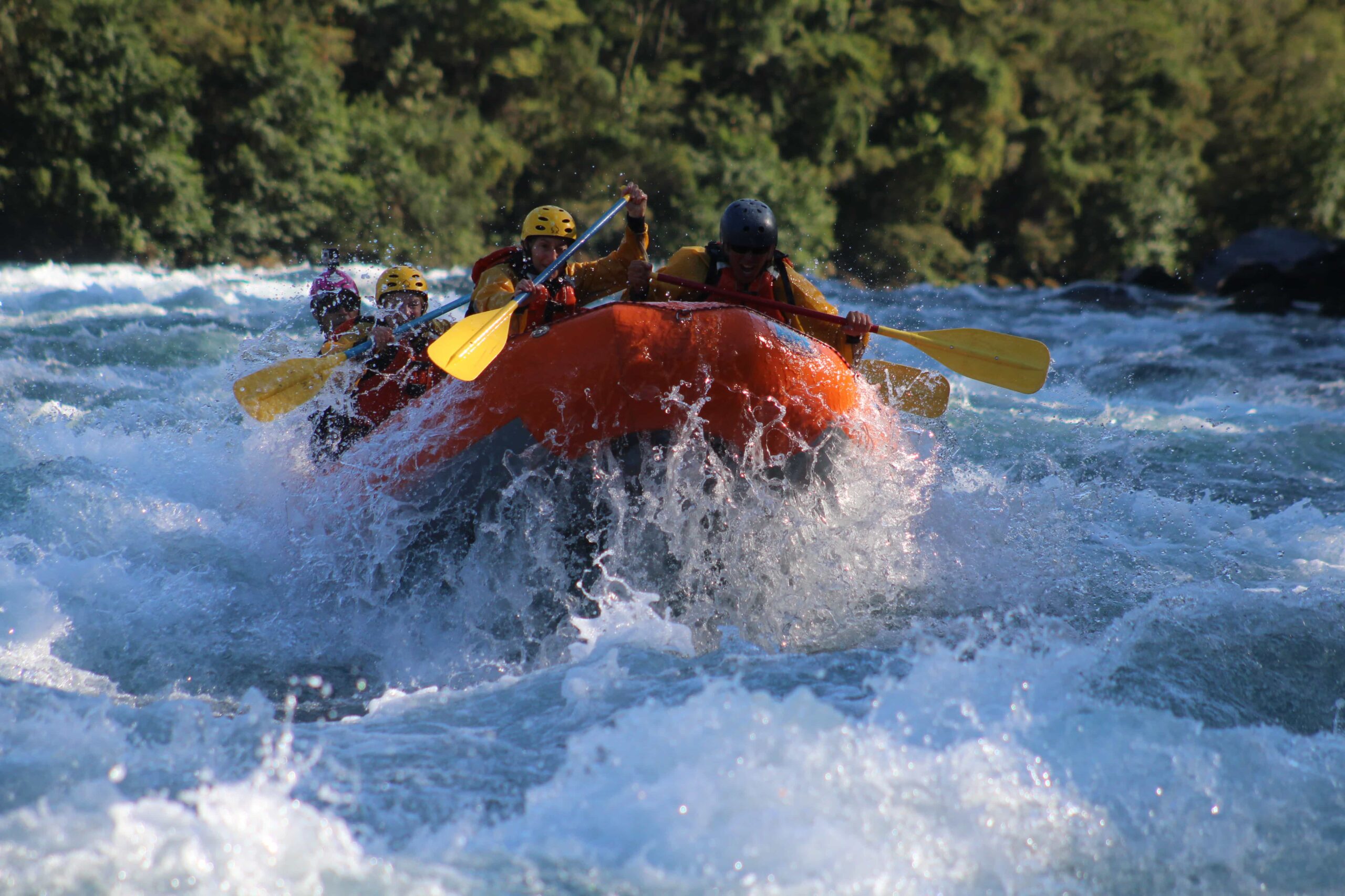 Services & activités